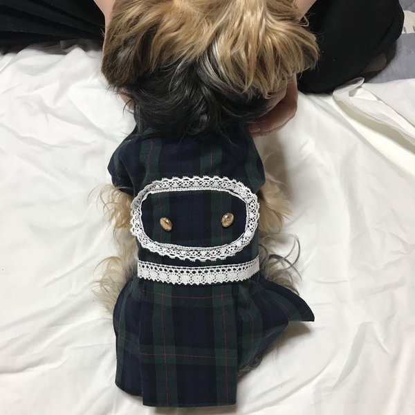 着せやすい犬服🐾タータンチェックのベルトプリーツワンピース🍀🍀