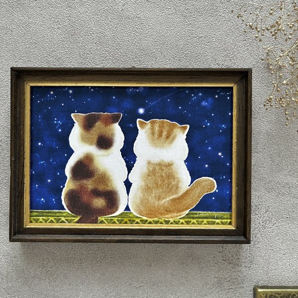 猫と星空