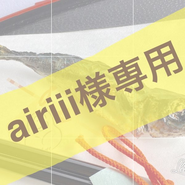 airiii様専用