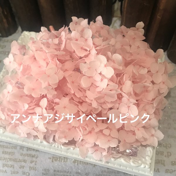 アンナアジサイペールピンク新製品❣️アジサイ小分け❣️ハーバリウムレジンアクセサリー花材プリザーブドフラワー