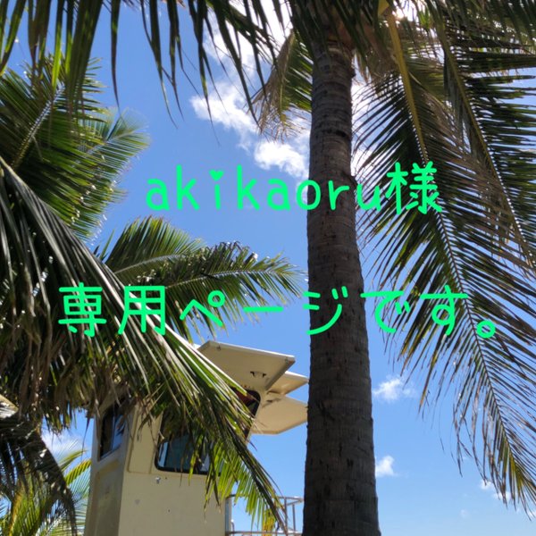 akikaoru様専用ページ