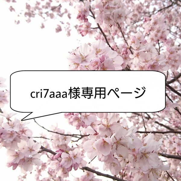 【cri7aaa様専用】