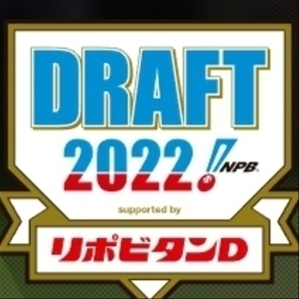 【送料無料】プロ野球１２球団水引⚾　２０２２ドラフト指名選手限定