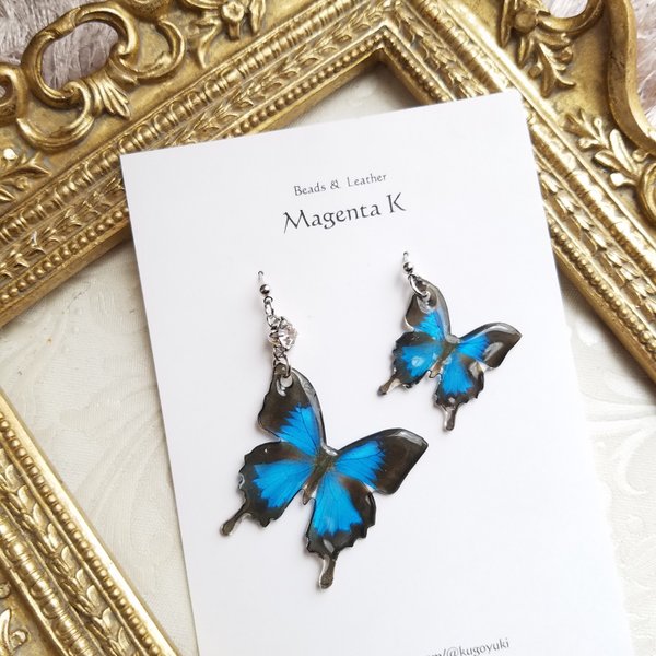 Blue-Black butterfly set　