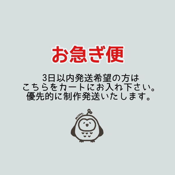 お急ぎ便！3日以内に発送します。