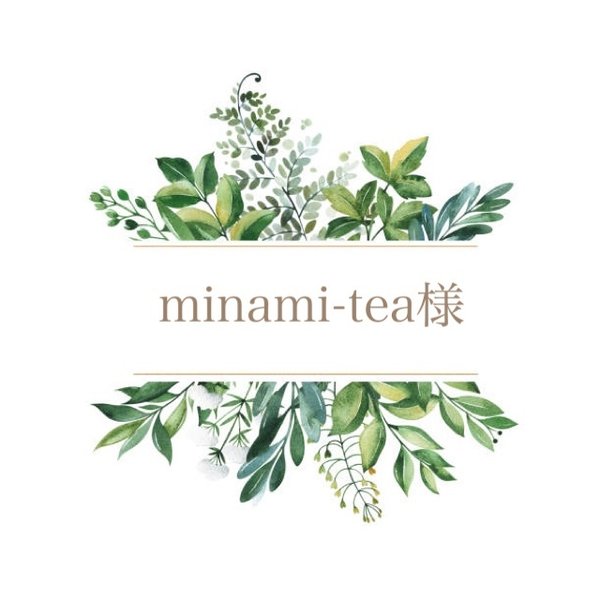 minami-tea様✨専用ページになります♡