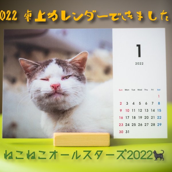 ねこねこオールスターズ　2022年 卓上カレンダー