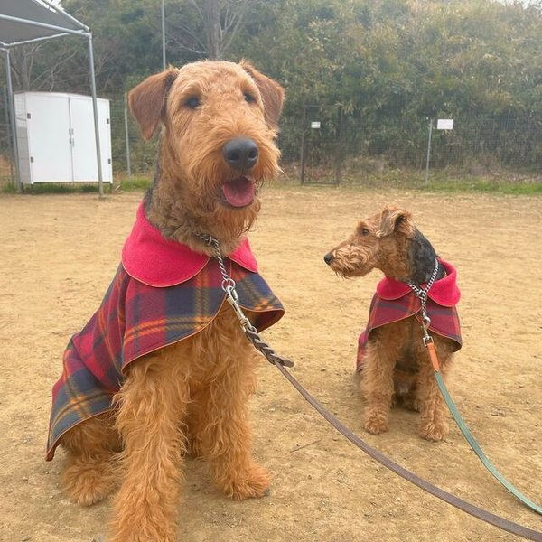 マント型コート再再再販 オーダー 小型犬～中型犬～大型犬服 フリース 大きなチェック柄