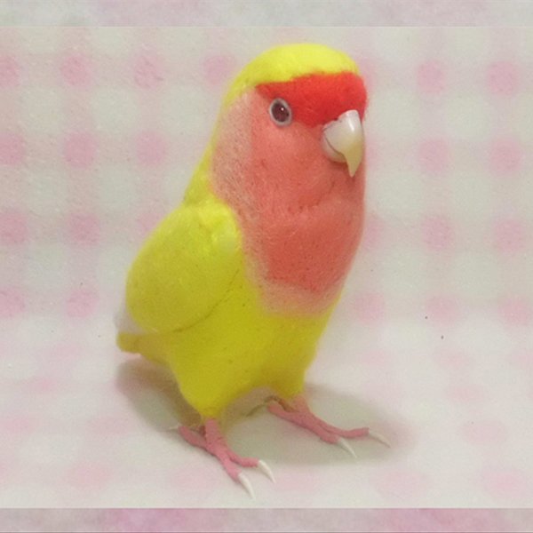 リアルサイズ  コザクラインコ ルチノー  羊毛フェルト 羊毛インコ 鳥のオブジェ リアルバード 受注制作