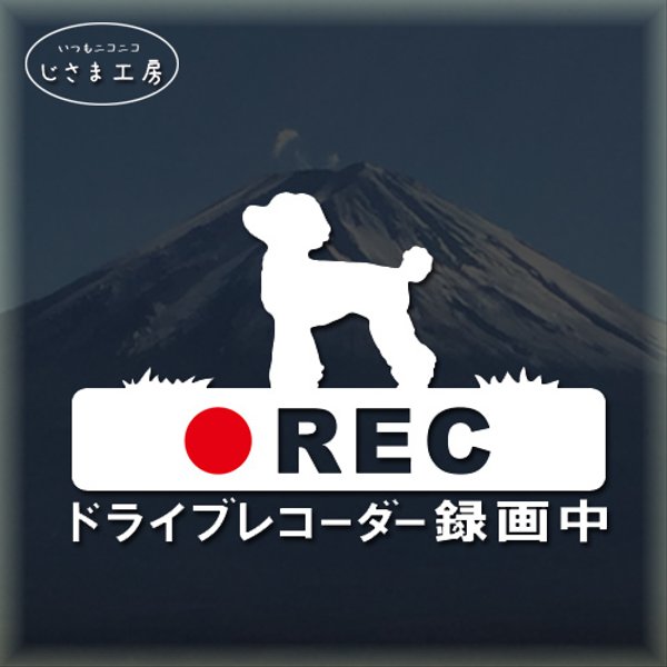 トイプードルの白色シルエットステッカー煽り運転ドライブレコーダー録画中‼