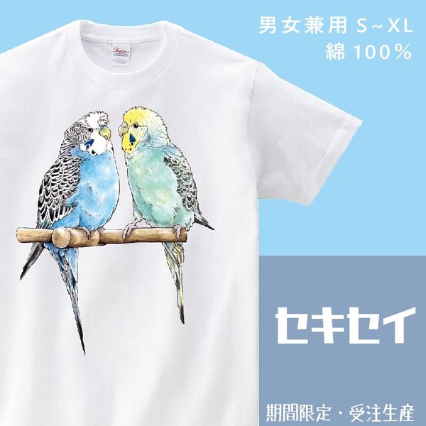セキセイインコTシャツ【受注生産】
