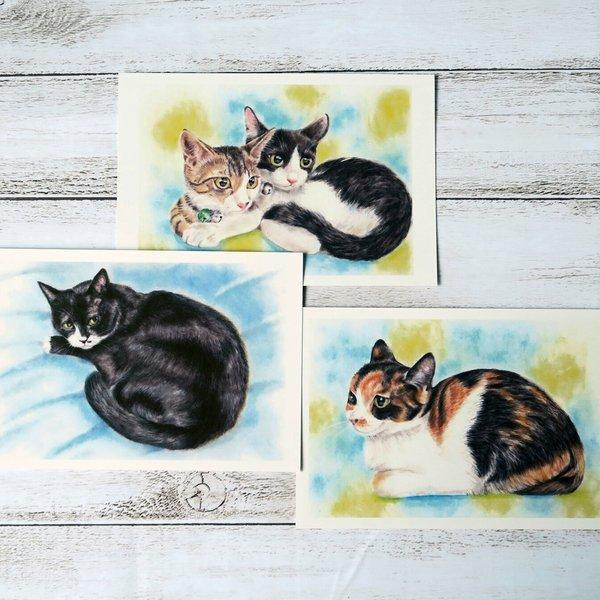 ポストカード猫パステル画３枚セット〈クロ＋子猫たち〉