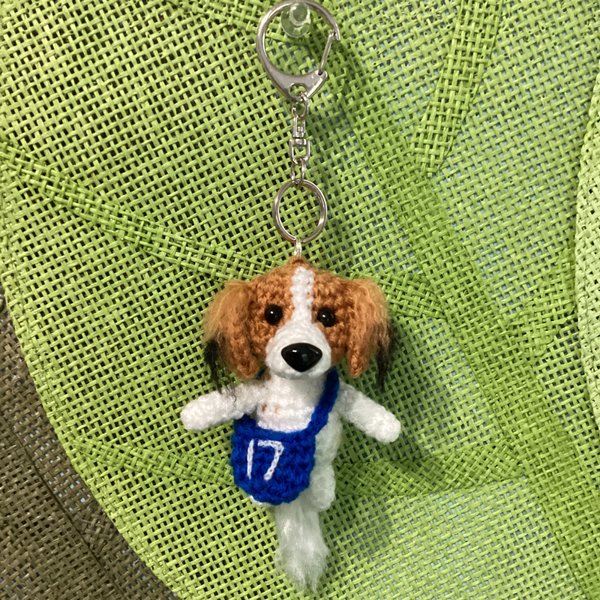 コーイケルホンディエ🐶キーホルダー