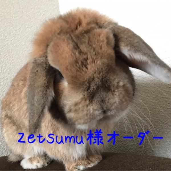 zetsumu様オーダー