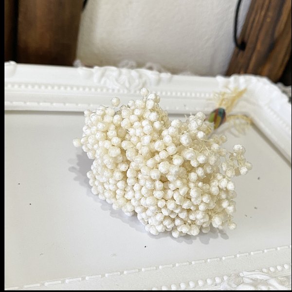 ライスフラワーホワイト小分け❣️ハンドメイド花材プリザーブドフラワー