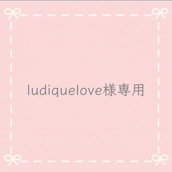 ludiquelove様専用