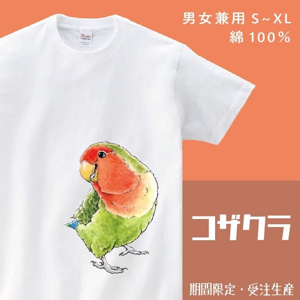 コザクラインコTシャツ【受注生産】