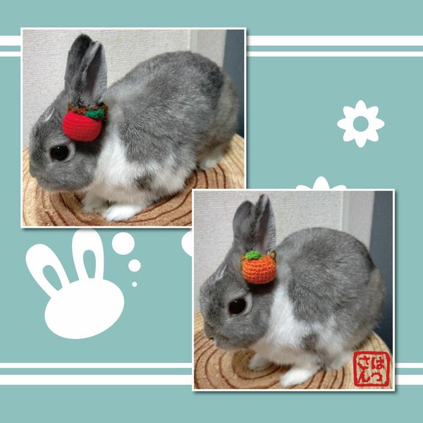 うさぎ用耳飾り🐰「りんご」と「みかん」