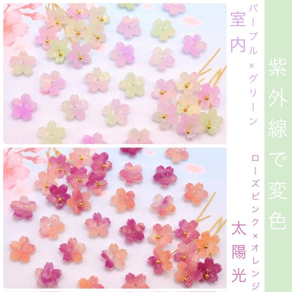 オリジナル変色素材★桜のパーツ　アセテート　パープル×グリーン→ローズピンク×オレンジ