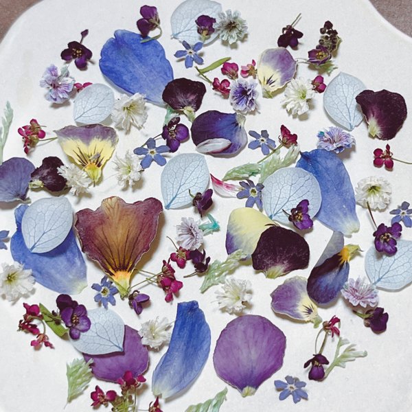 可愛い過ぎ✨パープル、ブルー系花びらのドライフラワー 🌸花材 詰め合わせ限定セット❣️小花 ／画像のお花をお入れしています／カラフルMIX／キャンドル ハーバリウム、レジン アクセサリーなどに