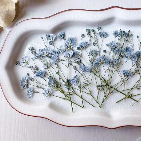 ★【押し花素材】かすみ草　グレー　着色　pressed flowers