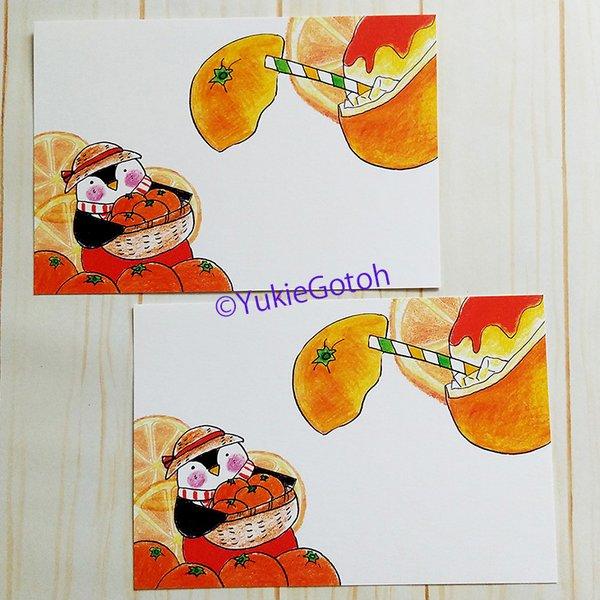 ペンギンのポストカード(オレンジ)2枚セット