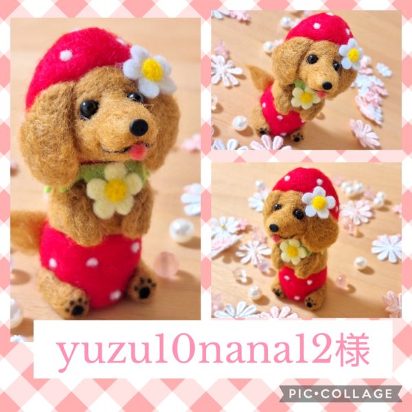 yuzu10nana12 様専用  *°•*¨*•.¸♬︎