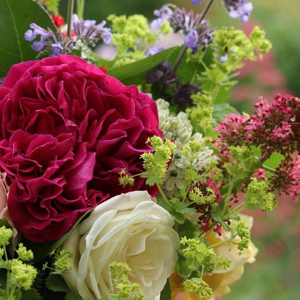 季節の花束おまかせ〜Red Bouquet〜