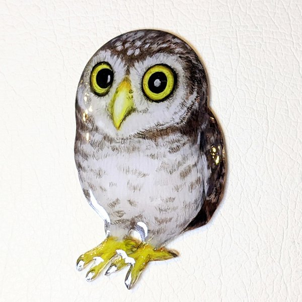 鳥ブローチ【コキンメフクロウ】little owl