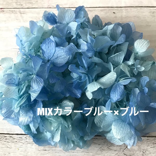 キラキラブルー×ブルー加工アジサイ❣️ハーバリウム花材プリザーブドフラワー小分け