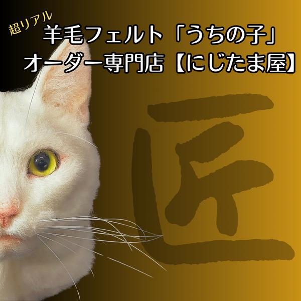 羊毛フェルト「うちの子」オーダー　にじたま屋　ぬいぐるみ 猫 犬  そっくり ﾘｱﾙ ﾍﾟｯﾄ ｽｺﾃｨｯｼｭ ﾗｸﾞﾄﾞｰﾙ ﾗｶﾞﾏﾌｨﾝ ﾉﾙｳｪｰｼﾞｬﾝ