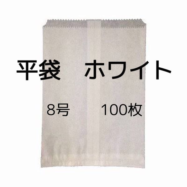 平袋100枚セット