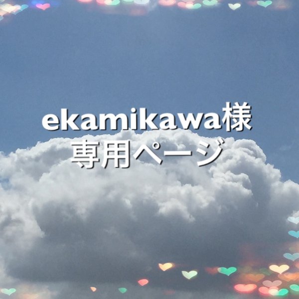 ekamikawa様  専用