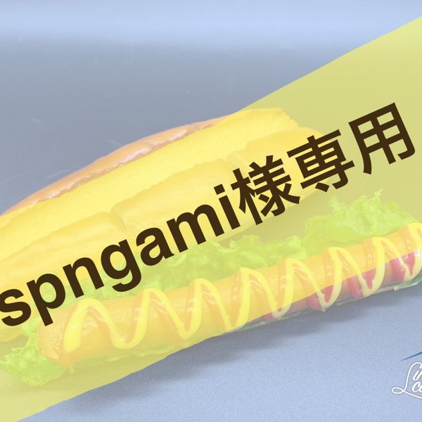 spngami様専用