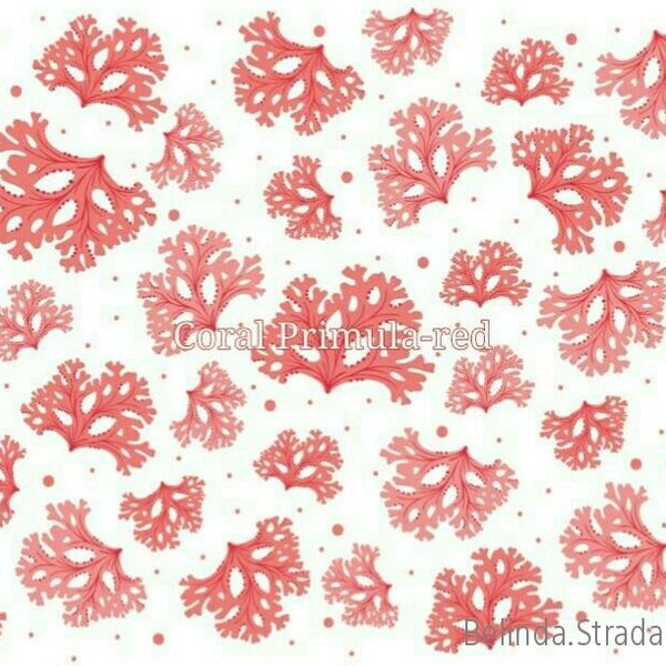 Coral Primula-red