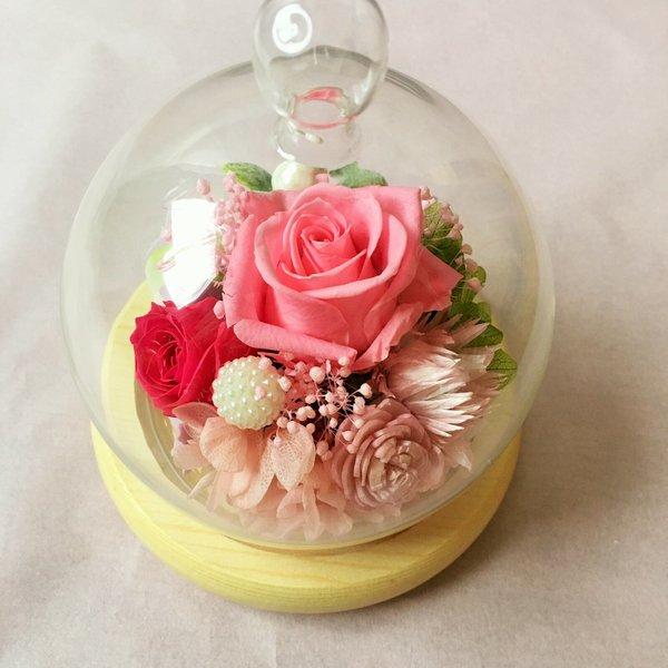 ガラスドーム　シュガーピンクのバラ