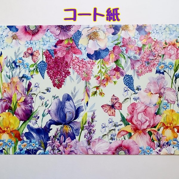 デザインペーパー　蝶×花　コート紙10枚