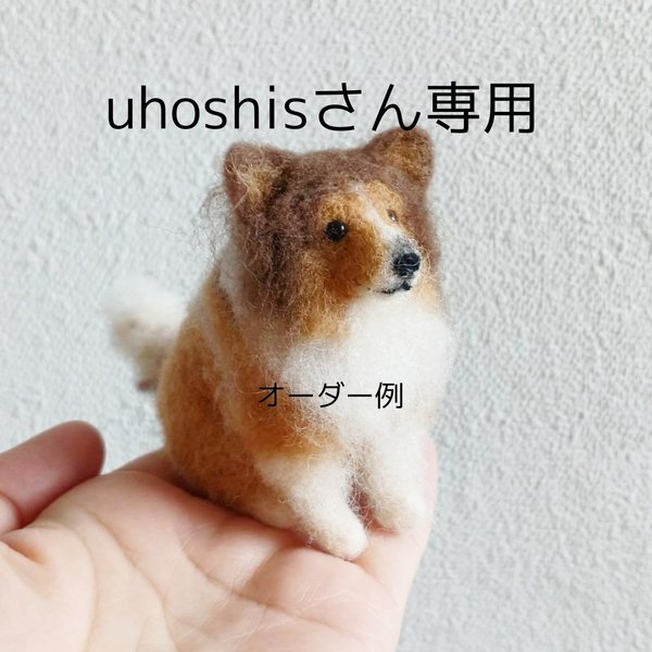 uhoshis様専用ページ(オーダー)