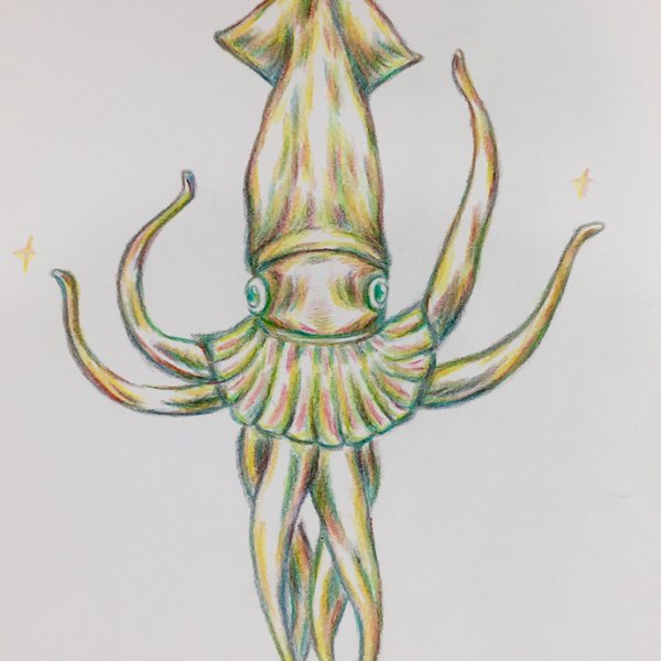イカ イラストのハンドメイド 手作り通販 Minne 日本最大級のハンドメイドサイト イカ イラストのハンドメイド 手作り通販 Minne 日本最大級のハンドメイドサイト