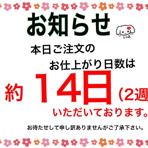 お知らせ（1/8） 更新