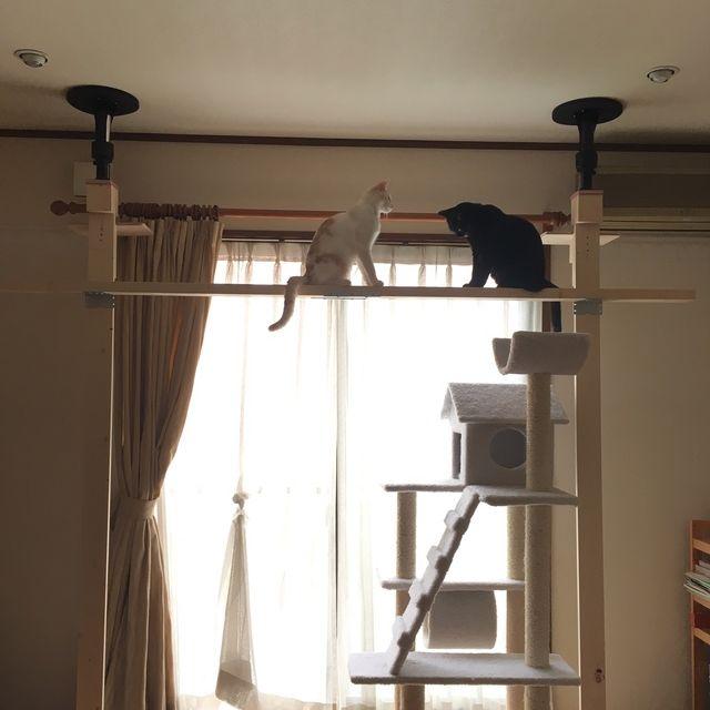 ここからダウンロード 猫 タワー 手作り 100 で最高の画像 ここからダウンロード 猫 タワー 手作り 100 で最高の画像