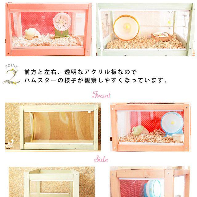 ハムスターとの暮らしがもっとかわいく楽しくなる 自分好みに ハムスターとの暮らしがもっとかわいく楽しくなる 自分好みに