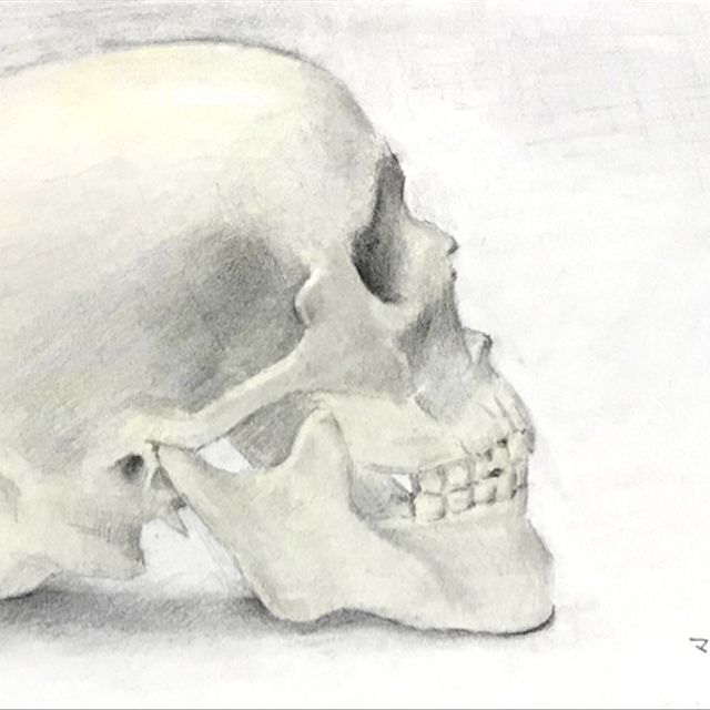 ディズニー画像のすべて 元の骸骨 イラスト 描き 方 ディズニー画像のすべて 元の骸骨 イラスト 描き 方