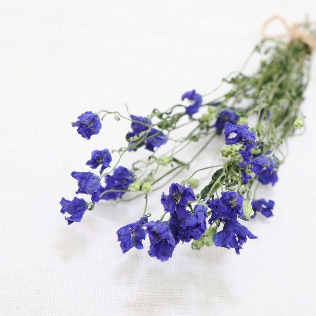 美しい花の画像 これまでで最高の花 スプレー 美しい花の画像 これまでで最高の花 スプレー