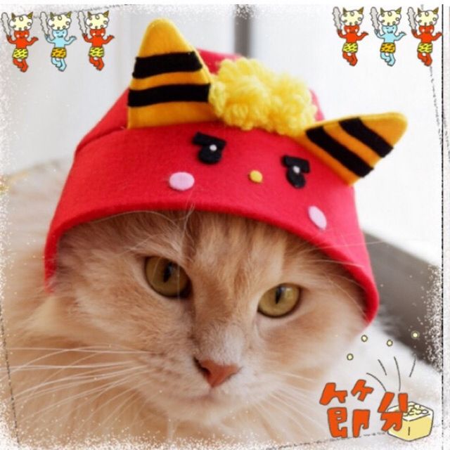 最も人気があります かぶり もの 猫 100 で最高の画像 最も人気があります かぶり もの 猫 100 で最高の画像