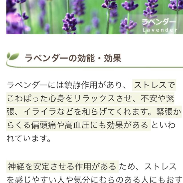 おチビちゃんラベンダードライフラワー40本とサシェ Minne 日本最大級のハンドメイド 手作り通販サイト おチビちゃんラベンダードライフラワー40本とサシェ Minne 日本最大級のハンドメイド 手作り通販サイト