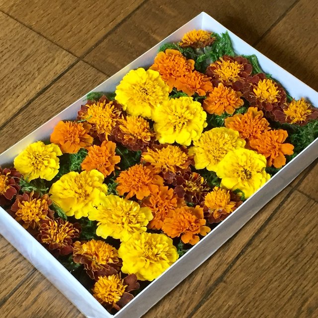 お花屋さんが作った大人可愛いマリーゴールドのドライフラワー 19 ハンドメイドマーケット Minne お花屋さんが作った大人可愛いマリーゴールドのドライフラワー 19 ハンドメイドマーケット Minne