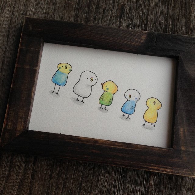 セキセイインコ イラスト ハンドメイドマーケット Minne セキセイインコ イラスト ハンドメイドマーケット Minne