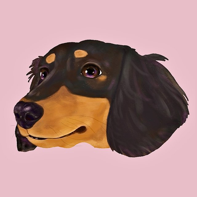 先着購入特典 ふんわり系 うちの子イラスト 似顔絵 犬の絵オーダー 全身イラスト 最短当日発送 ペットグッズ その他 Arbaldas Lt 先着購入特典 ふんわり系 うちの子イラスト 似顔絵 犬の絵オーダー 全身イラスト 最短当日発送 ペットグッズ その他 Arbaldas Lt