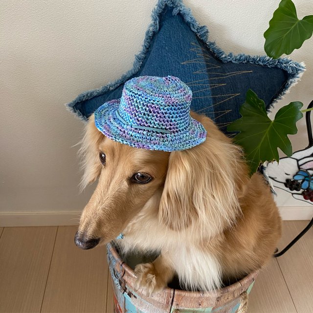 犬用カンカン帽 Minne 日本最大級のハンドメイド 手作り通販サイト 犬用カンカン帽 Minne 日本最大級のハンドメイド 手作り通販サイト